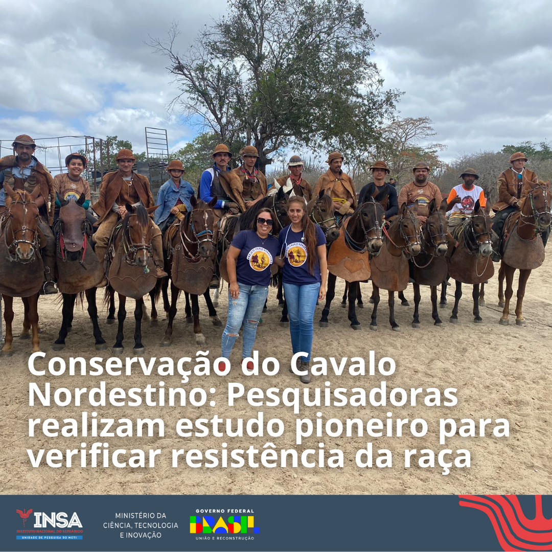 Conservação do Cavalo Nordestino: Pesquisadoras realizam estudo pioneiro  para verificar resistência da raça — Instituto Nacional do Semiárido - INSA