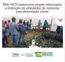 14122021 INSAMCTI desenvolve projeto relacionado a obtenção de variedades de maniçoba para alimentação animal.jpeg