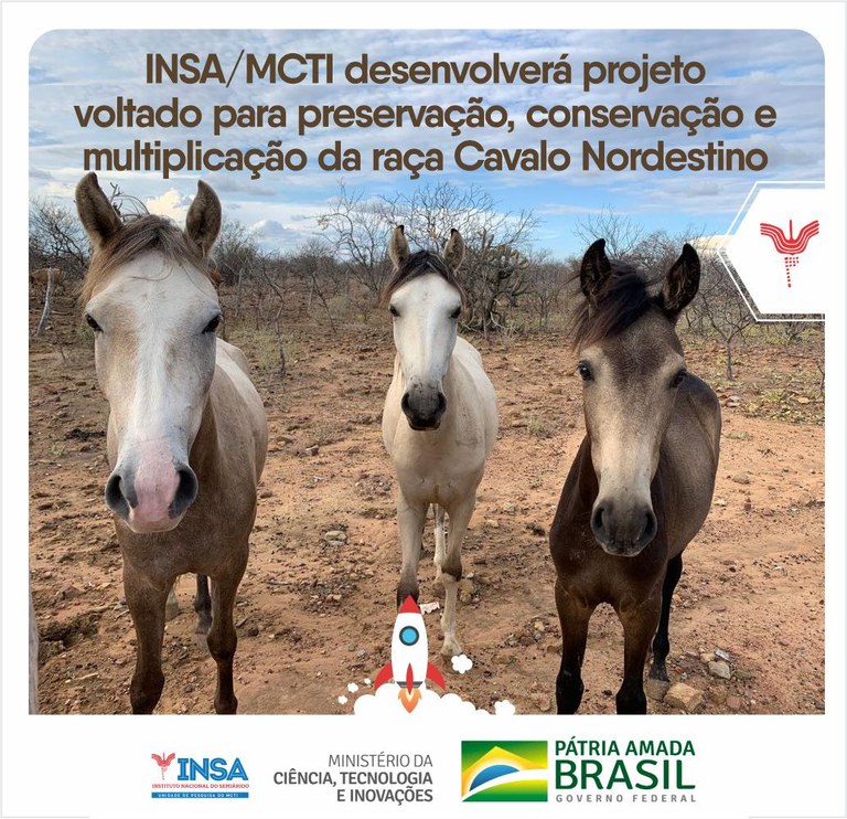 Conheça a Defesa dos 2 Cavalos !! 