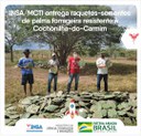 26082021 INSAMCTI entrega raquetes-sementes de palma forrageira resistente à Cochonilha-do-Carmim.jpeg