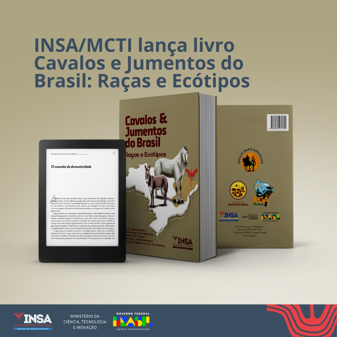 PDF) Significados do Trabalho para Imigrantes Brasileiros em