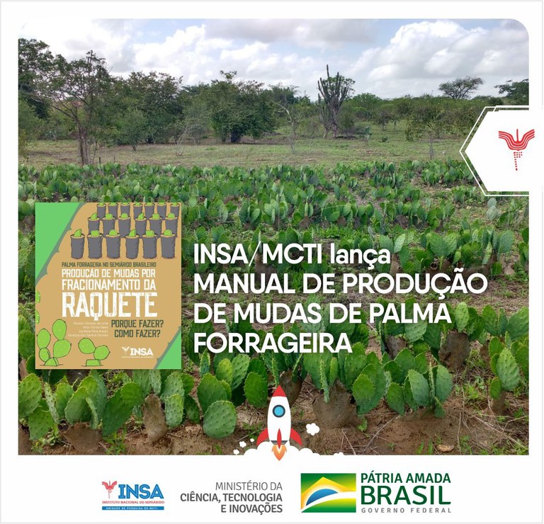 24082021 INSA lança manual de produção de mudas de palma forrageira.jpeg
