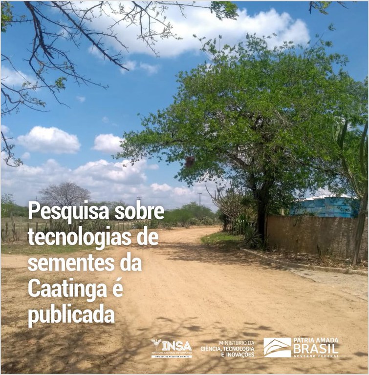 Sementes da Caatinga