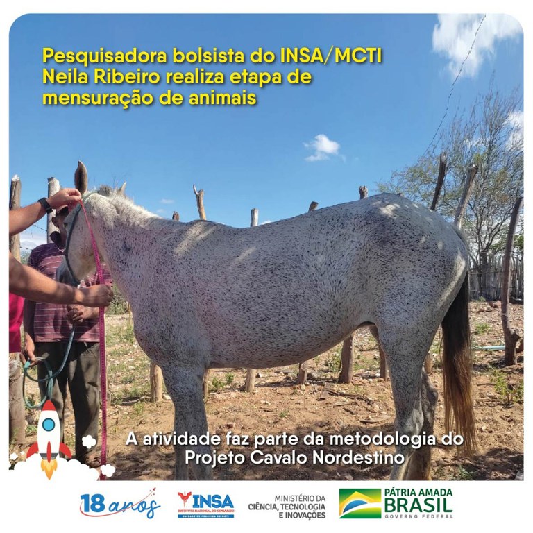 09052022 Pesquisadora bolsista do INSAMCTI Neila Ribeiro realiza etapa de mensuração de animais.jpg