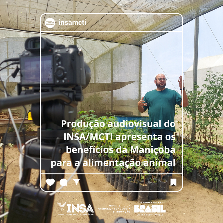 18092024 Produção audiovisual do INSAMCTI apresenta os benefícios da Maniçoba para a alimentação animal