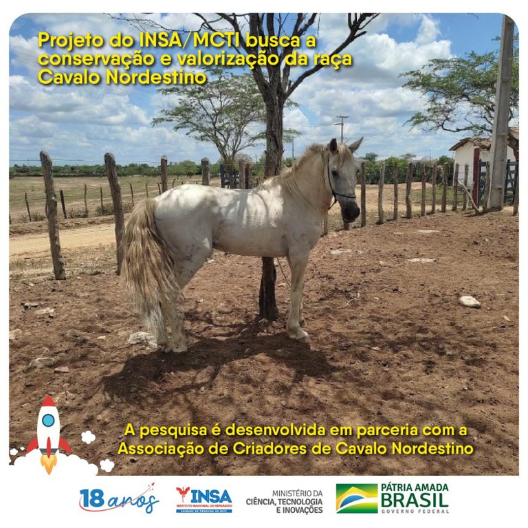 06062022 Projeto do INSAMCTI busca a conservação e valorização da raça Cavalo Nordestino na Paraíba.jpg
