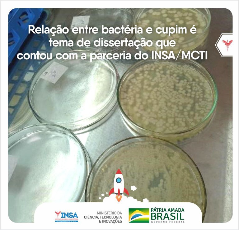 22022022 Relação entre bactéria e cupim é tema de dissertação que contou com a parceria do INSAMCTI.jpeg