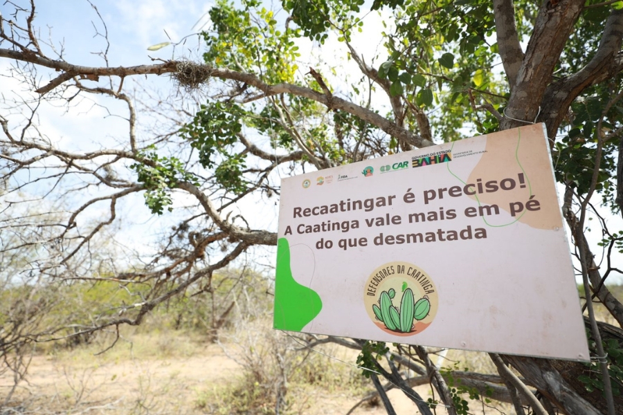 Foto de card principal com placa sobre o programa de recaatingamento.