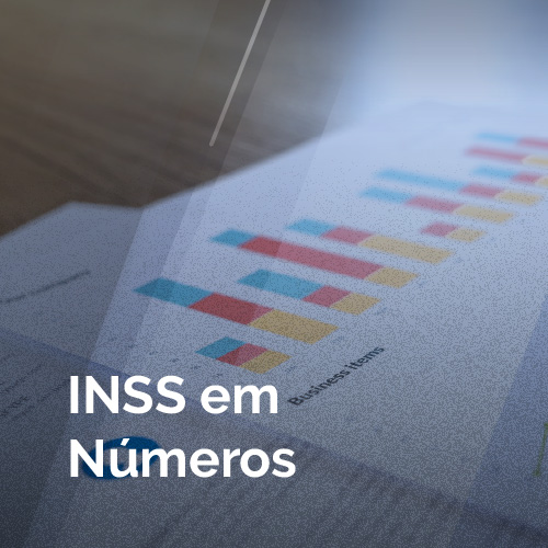 INSS em Números