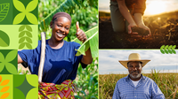 Dia do Agricultor: valorização e reconhecimento de direitos