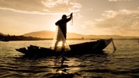 Seguro-defeso: entenda o benefício para o pescador artesanal