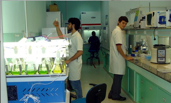 microalga_Labim_INT_laboratorio