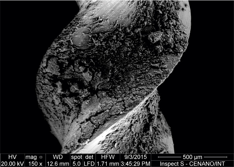 11-inovativa-29-biofarmacos-d.jpg