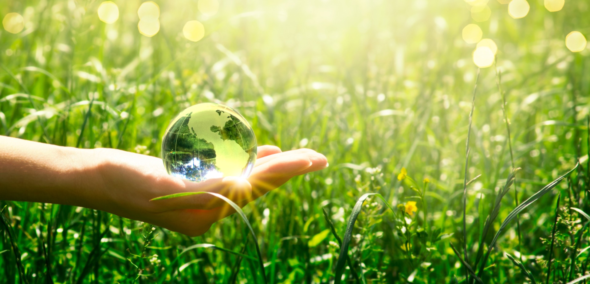 Earth glass globe in human hand on green grass background. Saving environment concept.