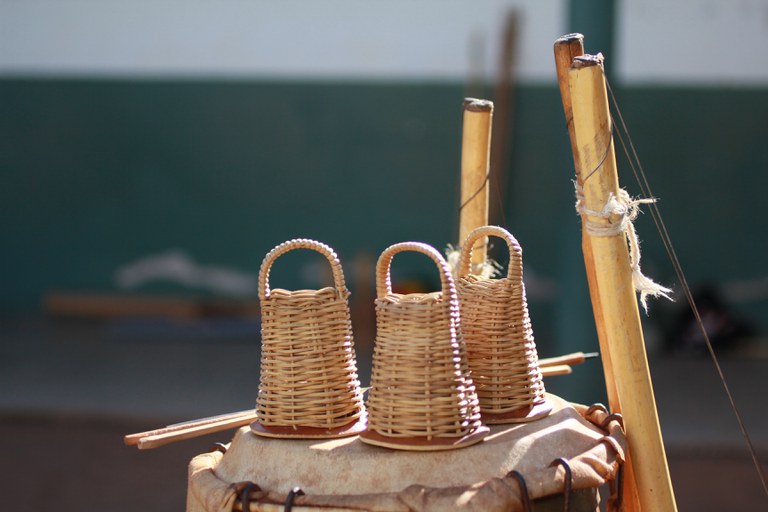 Salvaguarda de Capoeira do Paraná