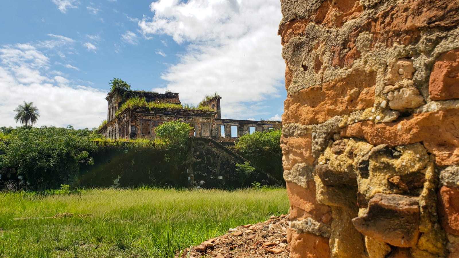 PDF) Patrimônio natural dos Butiazais da Fazenda São Miguel