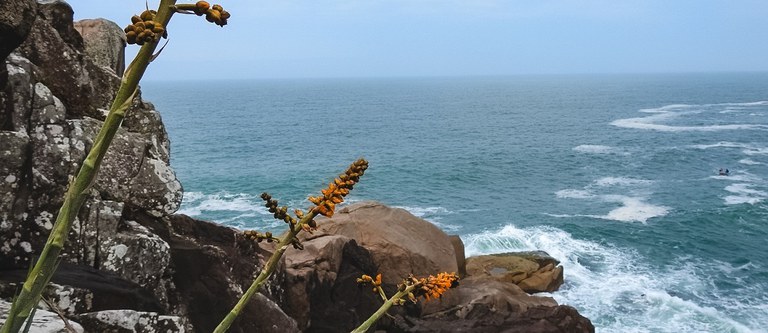 Tombada pelo Iphan desde 2000, a ilha abriga a maior concentração de oficinas líticas e gravuras rupestres do litoral brasileiro. (Foto:Janete Elenice Jorge)