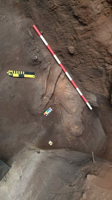 Esqueleto humano de até 12 mil anos | Acervo: Laboratório de Estudos Transdisciplinares em Arqueologia