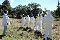 Treinamento no IRD sobre coleta de amostras ambientais