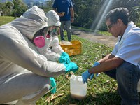 IRD ministra cursos voltados ao fortalecimento do sistema de proteção radiológica no país