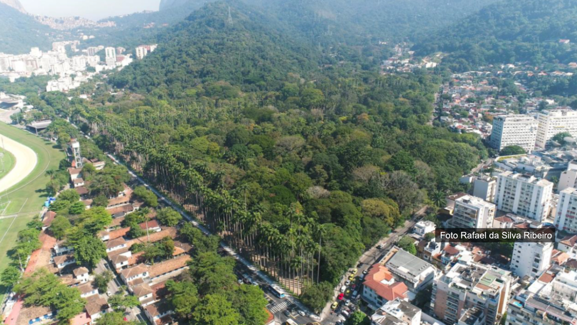 Study at JBRJ indicates the importance of tropical botanical gardens in tackling climate change