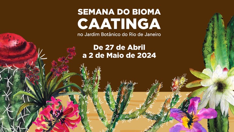 caatinga+banner.jpg