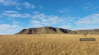 Expedition finds new species in the Upper Tocantins Basin PAN Territory