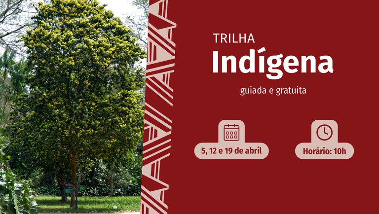 banner+trilha+indígena+2024.jpg