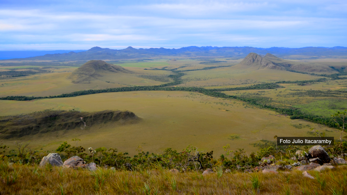 Monitoring the PAN Upper Tocantins Basin: strategies advance the conservation of rare and endangered species in the Cerrado