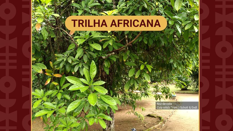 banner_trilha+africana.jpg