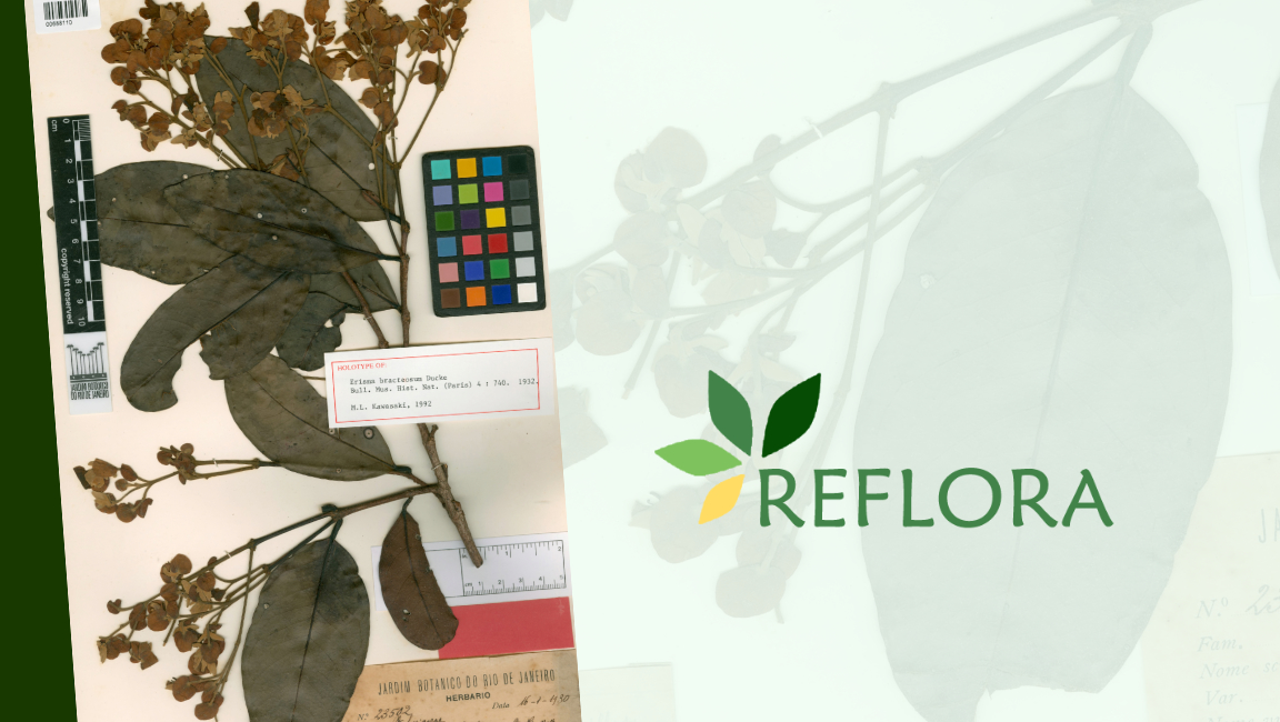 Reflora Digitization Manual version 3 presents the platform's new tools and features