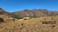 Researchers find endangered plants in the PAN Upper Tocantins Basin