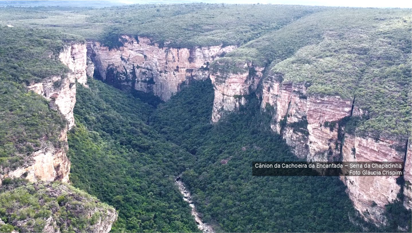 Researchers record endangered plants on scientific expedition to Serra da Chapadinha, Bahia