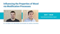 Treatment and properties of wood are the subject of international lectures at ENBT