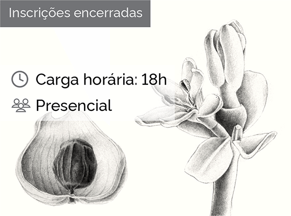 desenho_botanico_encerrada.png