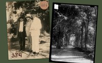Acervo histórico fotográfico do Jardim Botânico do Rio será revitalizado