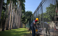 Arboreto do Jardim Botânico do Rio fechará à visitação às segundas-feiras no inverno