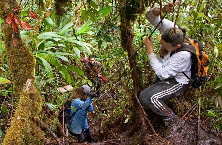 Rafaela Forzza e Lucia Lohmann - Serra do Imeri 2022 - foto de Herton Escobar.jpeg