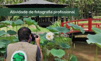 Conheça as normas para fotógrafos profissionais