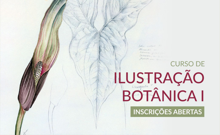 CursoIlustracaoBotanica1