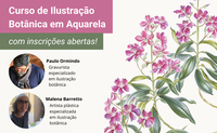 Curso de Ilustração Botânica em Aquarela do Jardim Botânico abre inscrições