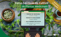 Curso de Técnicas de Cultivo de Plantas Medicinais abre inscrições