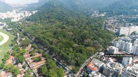 Estudo no JBRJ indica a importância dos jardins botânicos tropicais no enfrentamento das mudanças climáticas