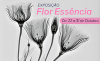 Exposição “Flor Essência” no Jardim Botânico chama atenção para diagnóstico precoce do câncer de mama