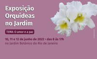 Exposição Orquídeas no Jardim volta ao Jardim Botânico do Rio de Janeiro