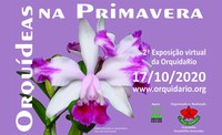 Exposição virtual Orquídeas na Primavera