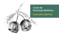 Inscrições abertas para curso online de Ilustração Botânica I