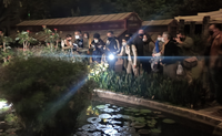 Jardim Botânico abre datas extras para visita noturna a pé