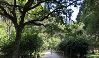 Jardim Botânico do Rio de Janeiro volta à Fase Vermelha, aberto somente para caminhadas ao ar livre