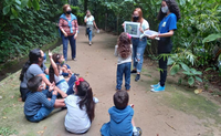 Jardim Botânico do Rio oferece atividades educacionais para crianças sobre abelhas sem ferrão e Mata Atlântica nos próximos dias 13 e 15
